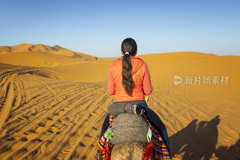 摩洛哥撒哈拉沙漠，Erg Chebbi的Merzouga，一名骑骆驼的女游客